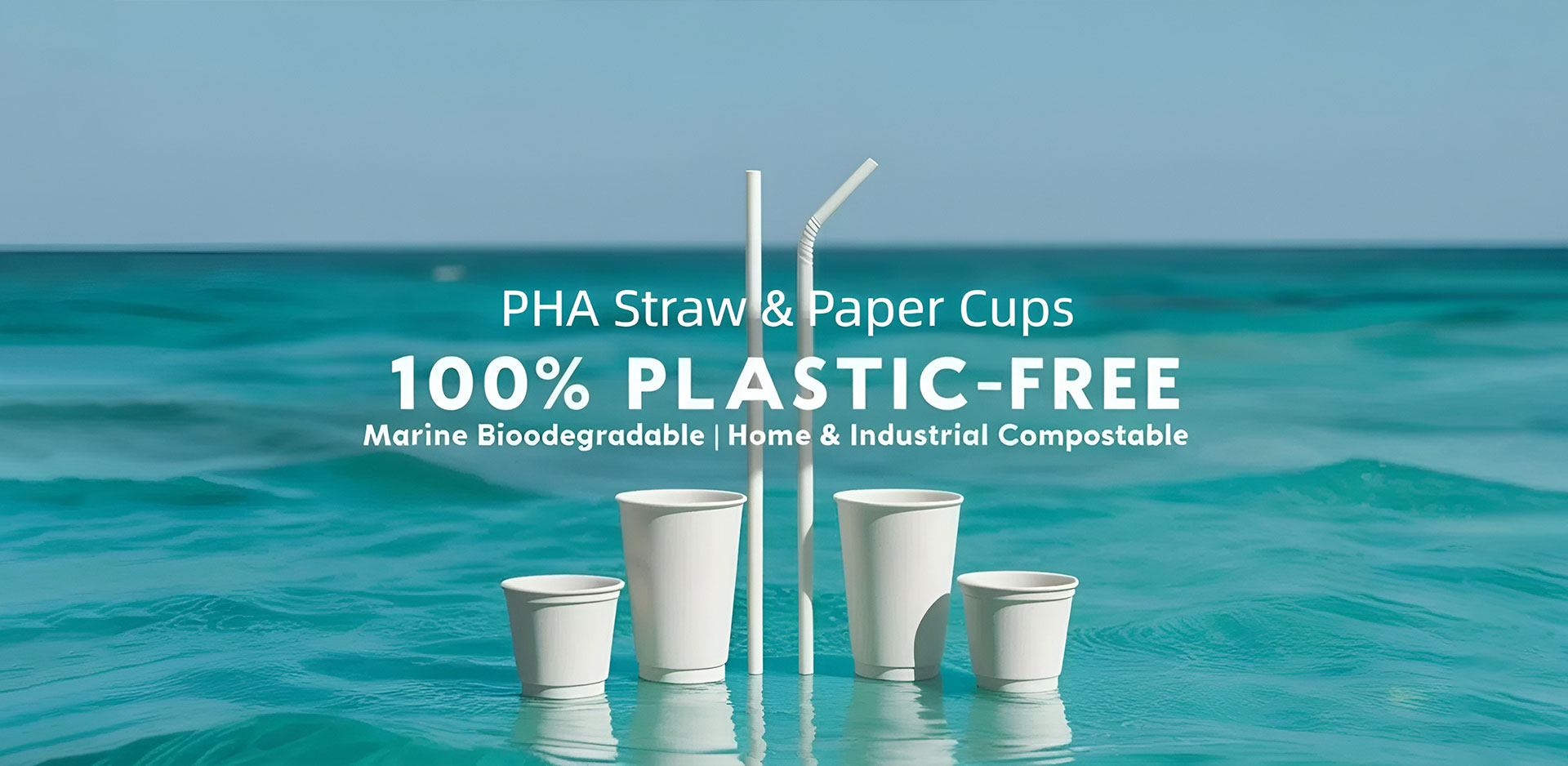 Tagapagtustos ng China Paper Cup