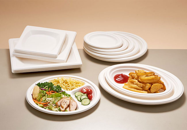Eco Disposable to Go Container: Ang Hinaharap ng Sustainable Food Service