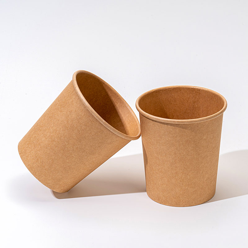 Disposable Paper Pack Material Type