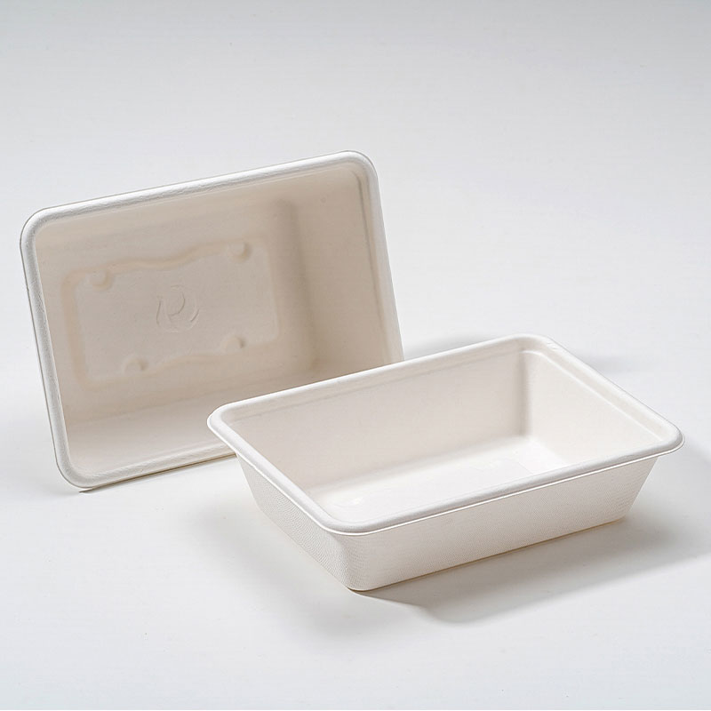 Bakit Bagasse Square Box ang Kinabukasan ng Sustainable Food Packaging?