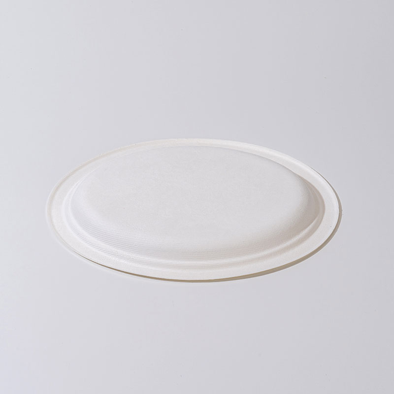 Sugarcane pulp oval plate